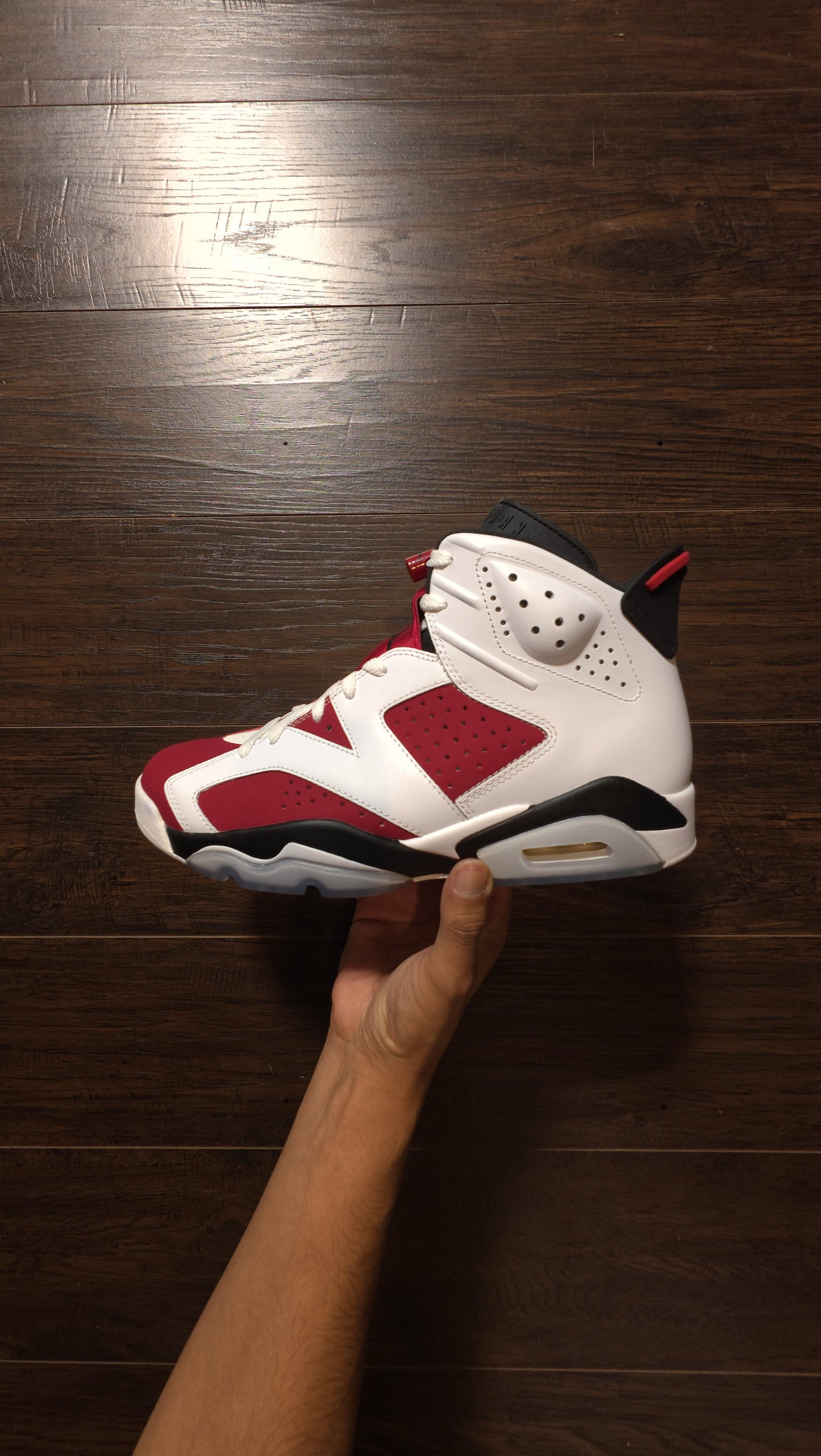 Jordan 6 Retro Carmine (2014) [NEW] - 9.5 M