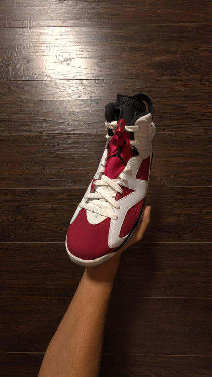 Jordan 6 Retro Carmine (2014) [NEW] - 9.5 M