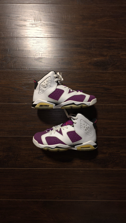 Jordan 6 Retro Grape (GS) [USED] - 7Y
