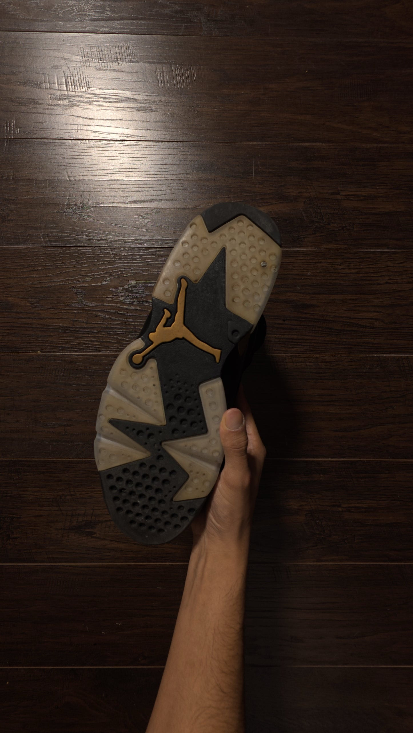 Jordan 6 Retro DMP (2020) [USED] - 11 M