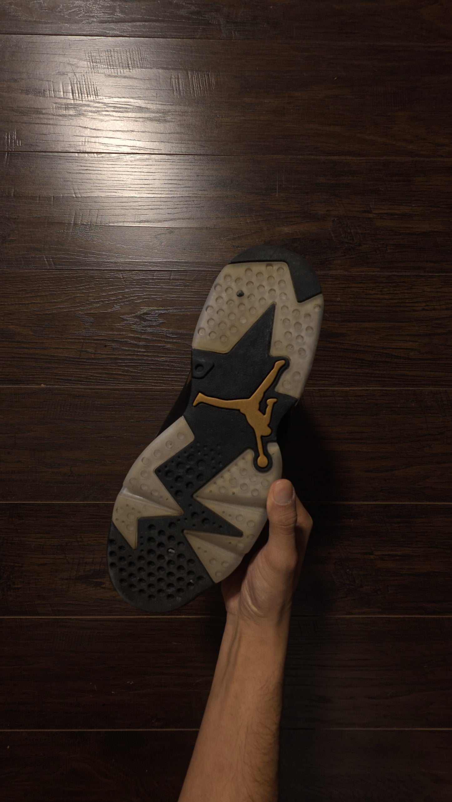 Jordan 6 Retro DMP (2020) [USED] - 11 M