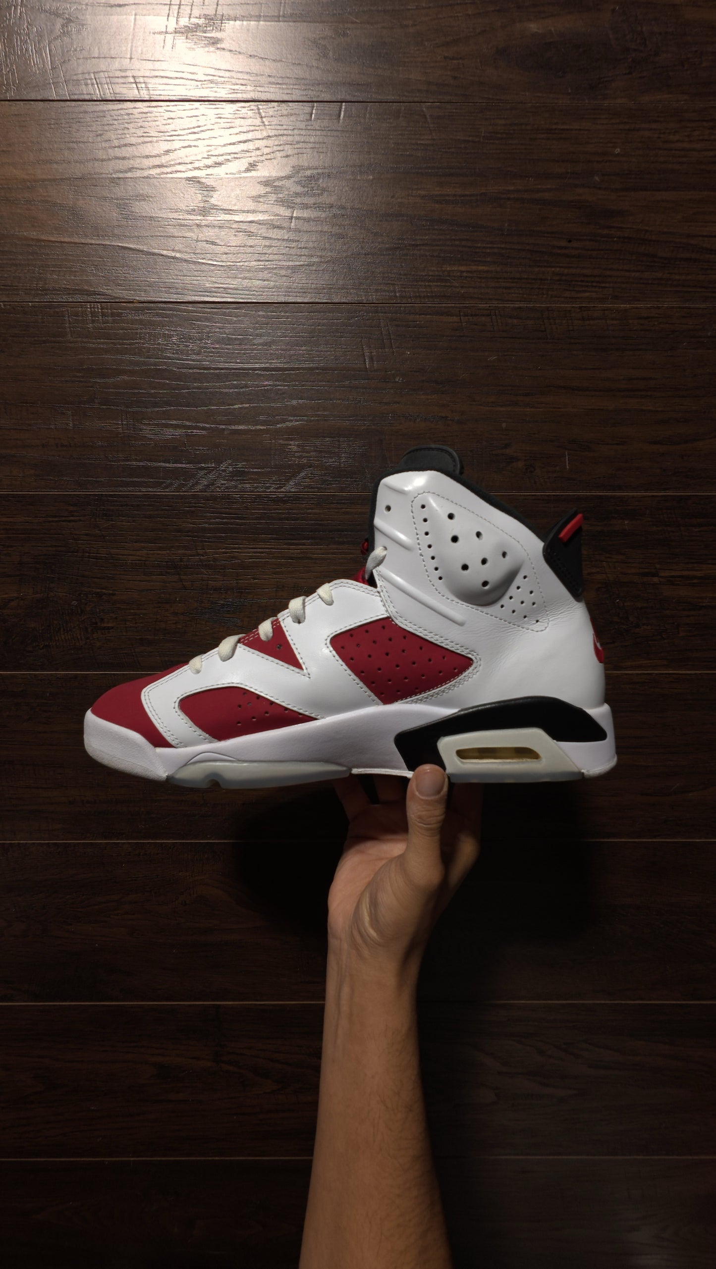 Jordan 6 Retro Carmine (2021) [USED] – 11M