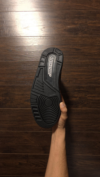 Jordan 3 Retro Black Cat (2025) [NEW]