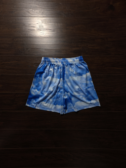 Eric Emanuel EE Basic/Core Shorts Sky [NEW]