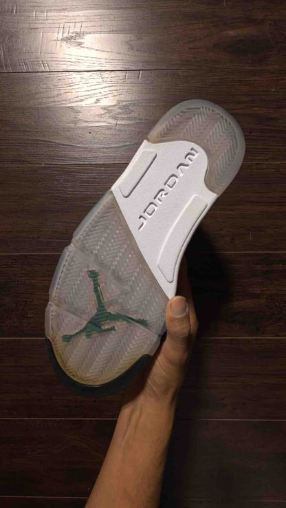 Jordan 5 Retro Grape (2013) [NEW] - 9.5 M