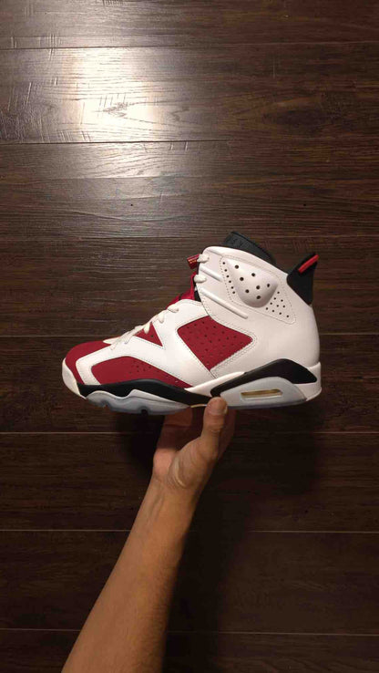 Jordan 6 Retro Carmine (2014) [NEW] - 9.5 M