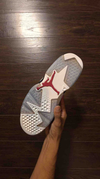 Jordan 6 Retro Carmine (2014) [NEW] - 9.5 M